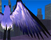 Blue Storm Wings