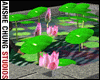 [ACS] LOTUS POND- ANIM