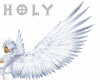 White & Silver AngelWing