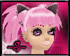 ~S~Tokyo Mew Mew Bundle