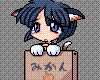 (ANI)Cute Catgirl in box