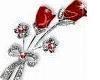 Sparkling Red Rose