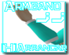 Hyou(Ice) Armband 2