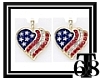 !USA Earrings!