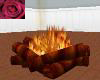 warm fire