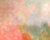 Flowers Series #2