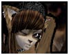 Choco Tabby ears M/F