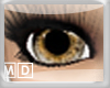 *M*Golden New eyes
