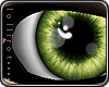 *L� iSheen Moss