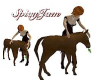 Animated pet pony
