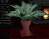 Click on this image for Green Plant Red