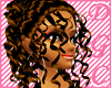 *DGC Disaya Brown
