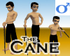 Cane -Mens v1b