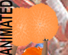 Click on this image for Holland PomPoms