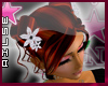 [V4NY] !Ailse! V4-C