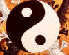 YING AND YANG