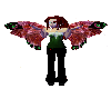 Sephrenia flyin