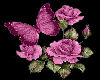 bfly & flowers