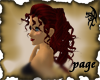 Missing Image