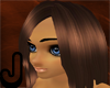 Rich Chocolate Aya