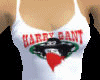 {DBS} HARRY GANT BANDEAU