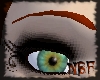 Auburn eyebrows
