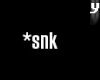 S_Ship