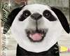 Pandy Puppy