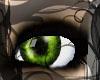 Forest eyes