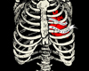 CM Punk Ribcage Tee
