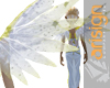 Vari Angel White Wings