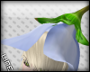 L| Flower hat Sky