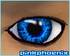 Striking Blue Eyes