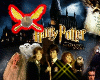 ~Golden Snitch~