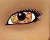 Autumn eyes