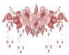 Candi Pink Roses