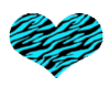 Zebra Heart