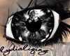 (Lyd)BlackCrashinEyes