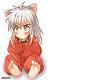 Inuyasha sping air boat