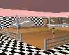 Disco Rink
