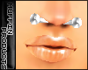 [m] HrdMetal Septum Bar