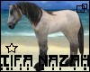 cream dun horse