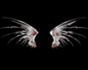 Dying Angel Wings