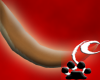 [N] Kanga Tail
