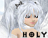 Very Silver Shining Hair
