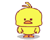dancing chicken