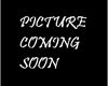 IVORY BAR �-�PKIX