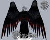 Angel Wings D.B.