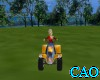 Tequlilla  Sunrise Buggy