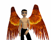 Lava Wings